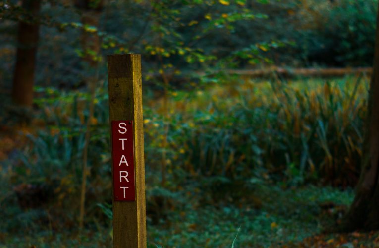 Mastering Article Promotion Weblogs: Launching Your Online Marketing Business